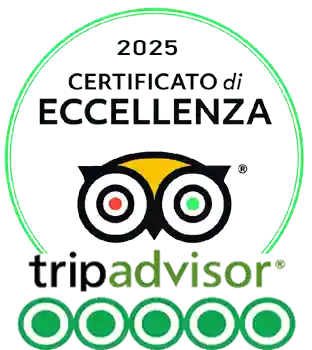 tripadvisor india viaggio